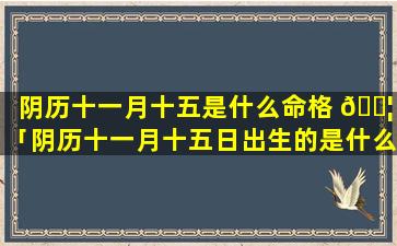 阴历十一月十五是什么命格 🐦 「阴历十一月十五日出生的是什么星座」